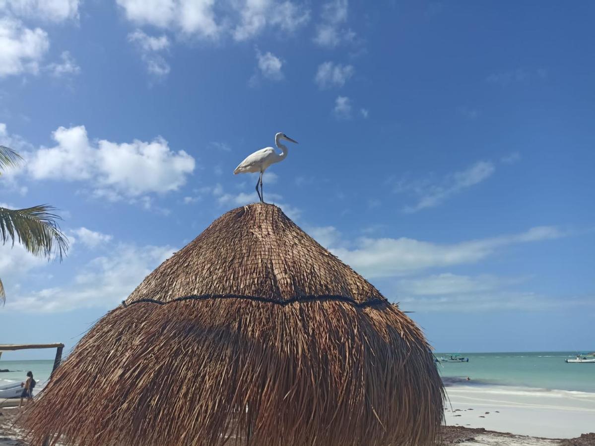Apartment Close To The Town Utopia Isla Holbox Buitenkant foto